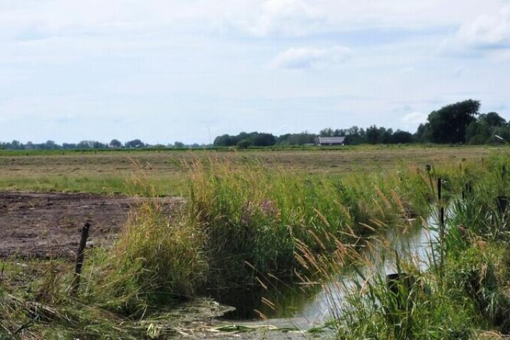 Foto van een sloot in een weidelandschap in polder de Hegewarren